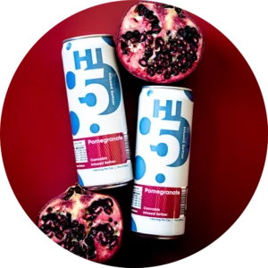 Hi5 Blog - Hi5 Seltzer Pomegranate